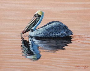 Pelican Peach Background