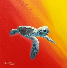 Baby Turtle in Red