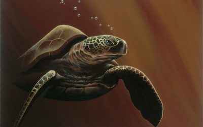 Big Brown Sea Turtle