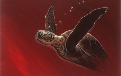 Big Red Sea Turtle