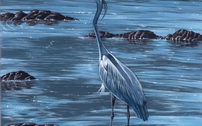 Blue Heron on the Rocks