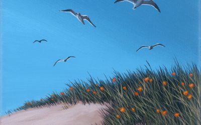 Dune Patrol