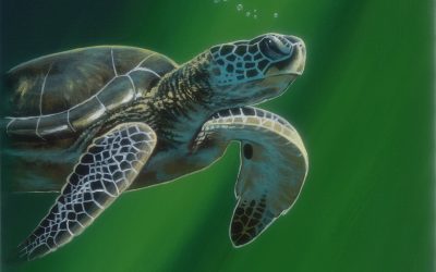 Fantasy Green Turtle