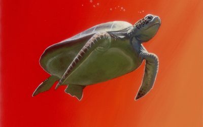 Fantasy Red Turtle