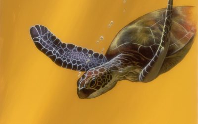 Fantasy Yellow Turtle