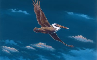Flying Solo