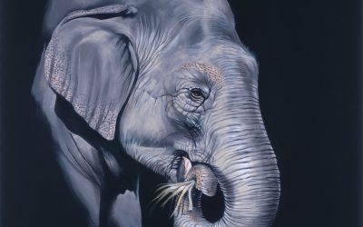 Gentle Giant