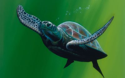 Green Turtle