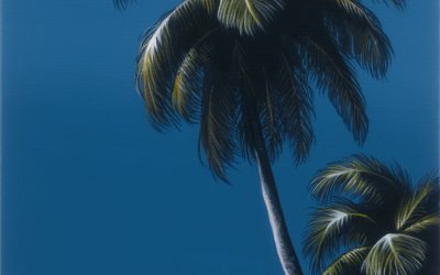 Pelican Beach