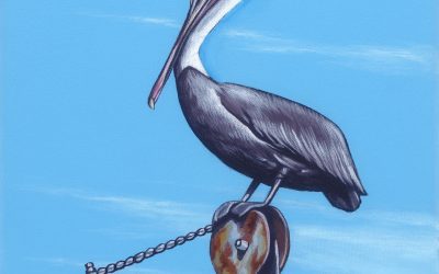 Pelican Craine Operator