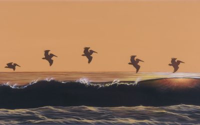 Pelicans on Parade