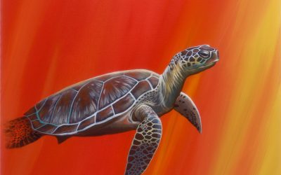 Red Turtle
