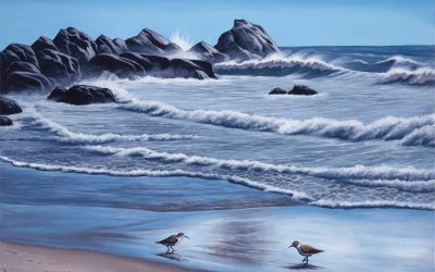Sand Piper