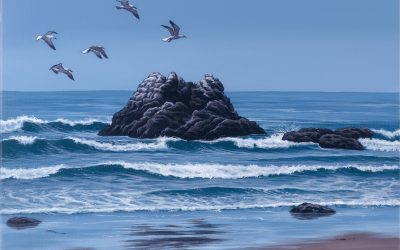 Seagulls on Rocks of Cayucos