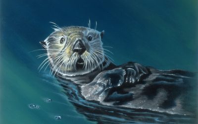 Smooth Sailing Otter