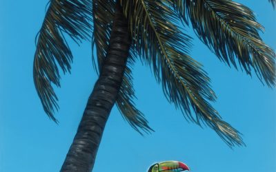 Toucan Beach